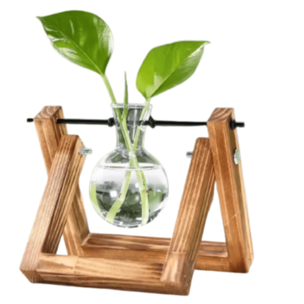 Terrarium Hidropônicos GlassGreen Hapega