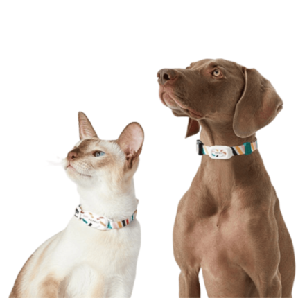 Coleira Color Com Chip De Monitoramento Hapega