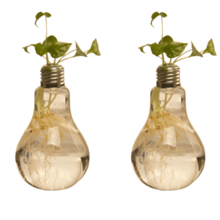 Vaso De Vidro Transparente Hapega