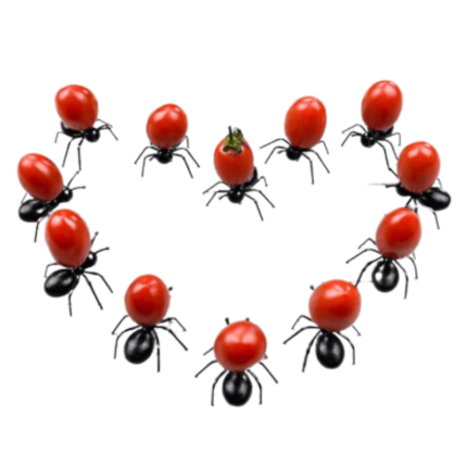 Formiguinhas Para Petisco Hapega